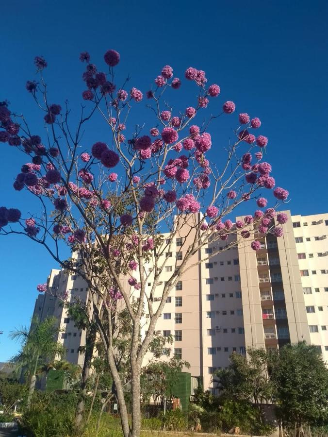 Apartamento Ecologic Park Caldas Novas Esterno foto